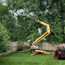 Lawn Pest Prevention in Crown Heights, NY